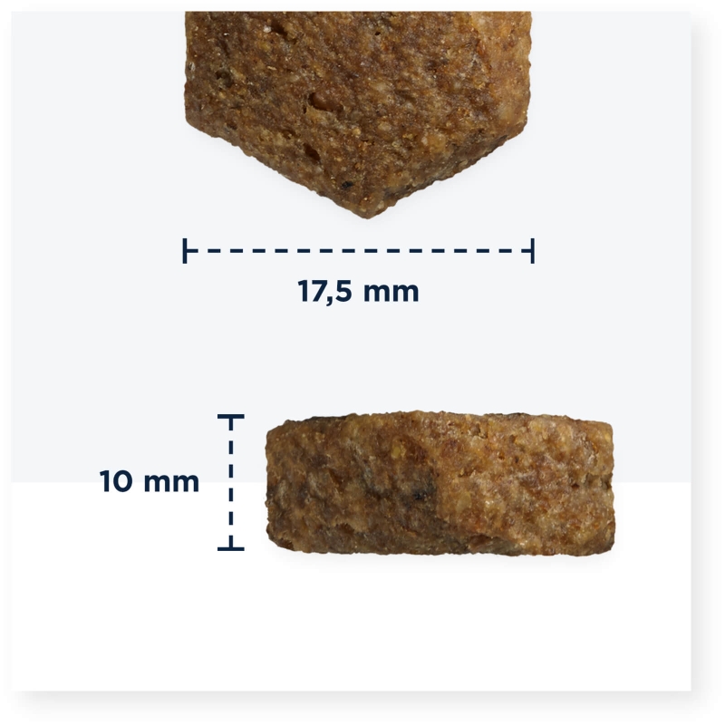 EUKANUBA Adult ookeanikalaga suurtele koertele teraviljavaba 3 kg