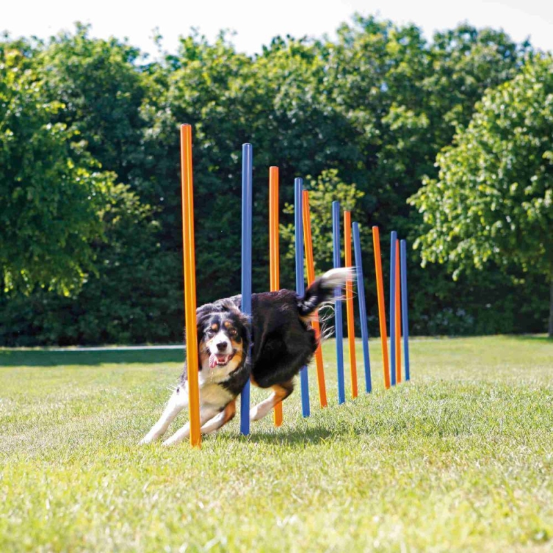 DogActivity Agility slaalom, plastik, 3x115cm, tk.sinine / oranž