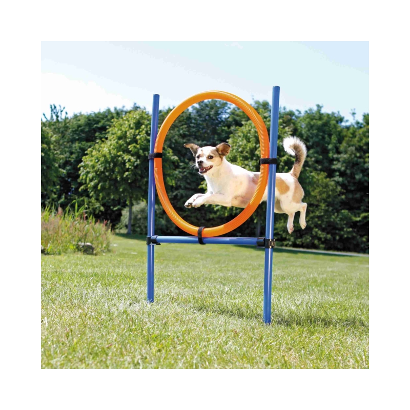 DogActivity Agility Ring, plastik, 115x ø 3cm, ø 65cm sinine / oranž