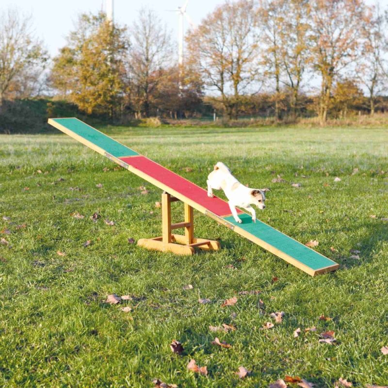 Fun Agility kiik, 300 × 54 × 34 cm