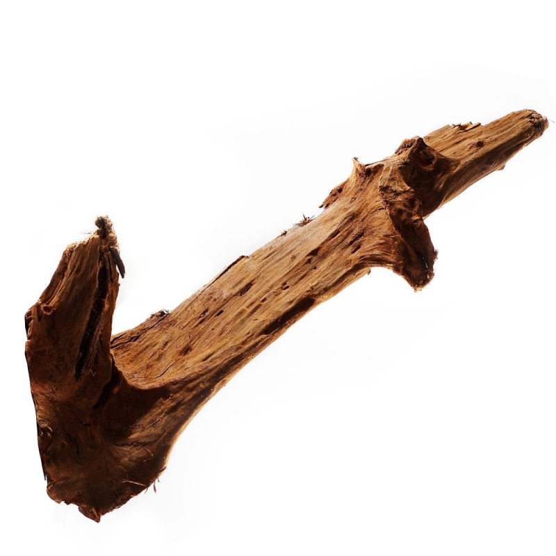 malaysian-driftwood-xl-korzen-40-60cm (5).jpg