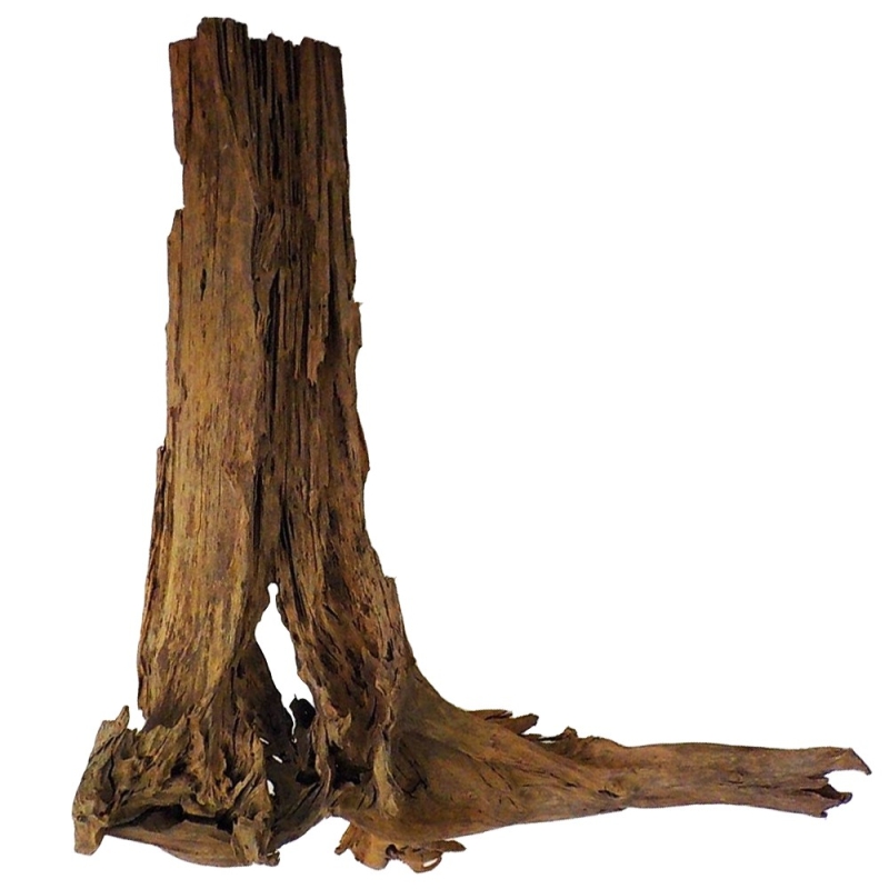 malaysian-driftwood-xl-korzen-40-60cm.jpg