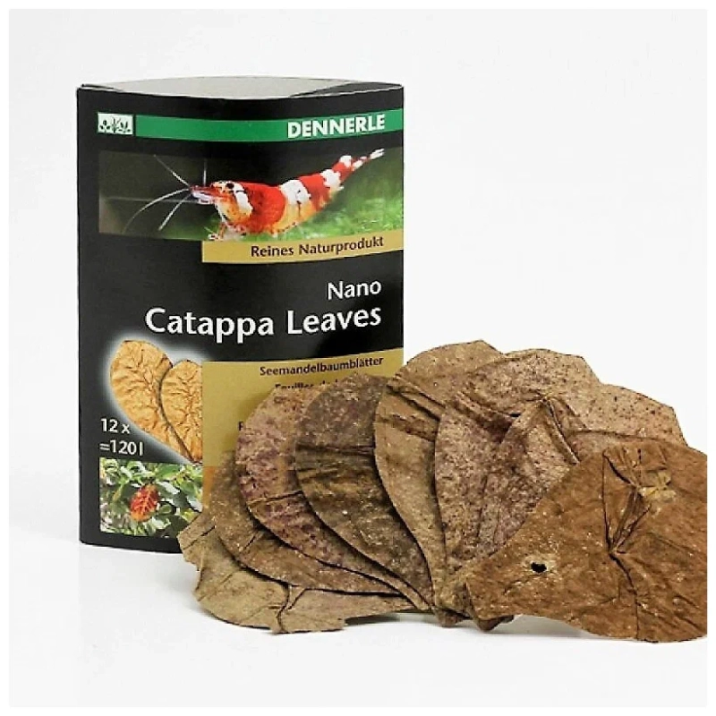 Dennerle Nano Catappa Leaves 12x