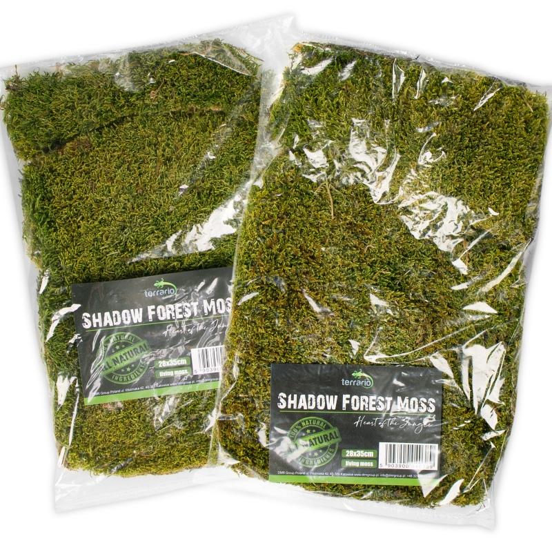 Terrario Shadow Forest Moss - looduslik sammal 35x28cm