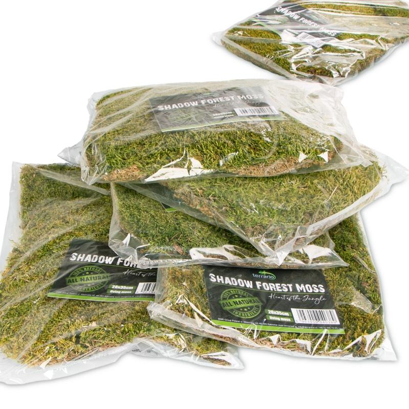 Terrario Shadow Forest Moss - looduslik sammal 35x28cm