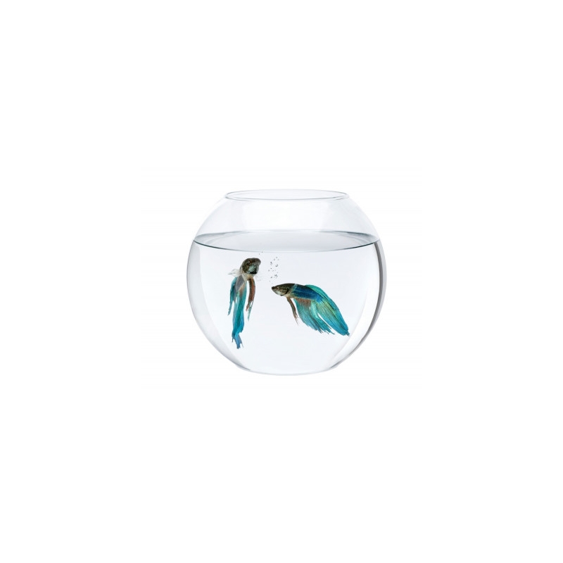 Aquael Ümmargune akvaarium, 5.5l