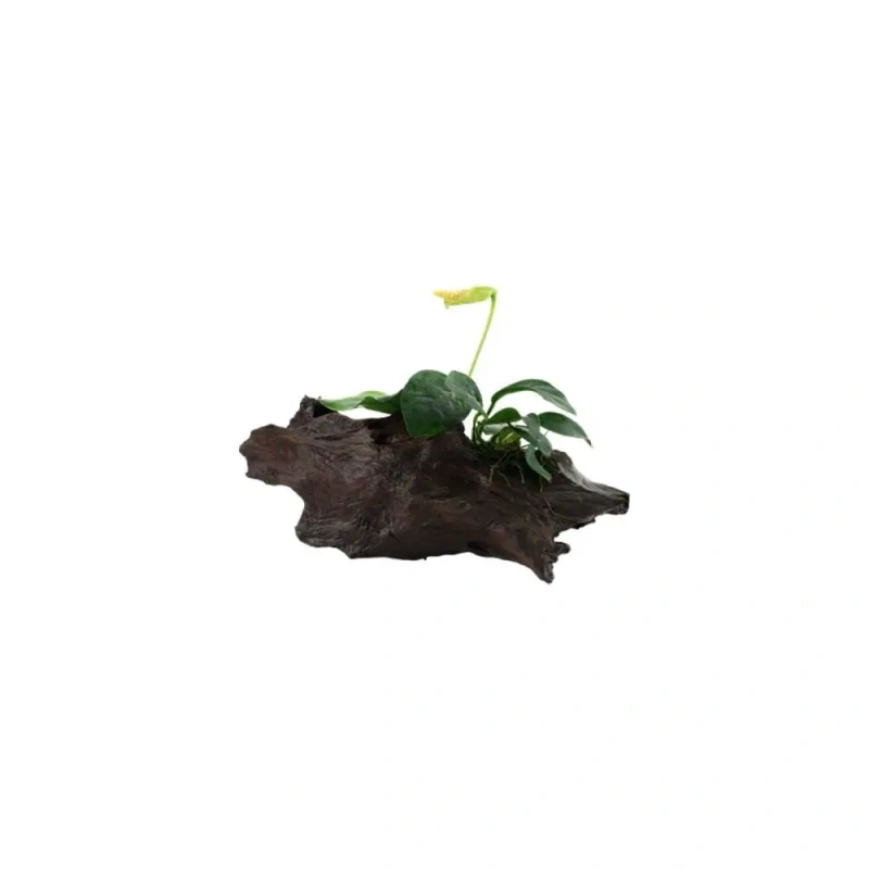 10234-33-101-yws-2.jpg.webp