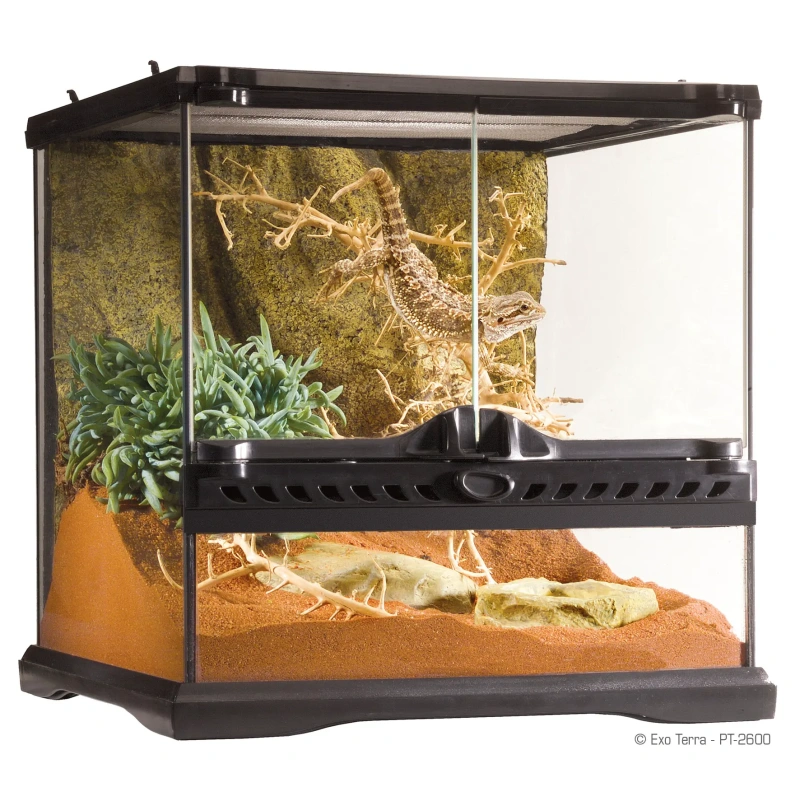 3655-exo-terra-terrarium-szkl-15.jpg.webp 3655-exo-terra-terrarium-szkl-15.jpg.webp