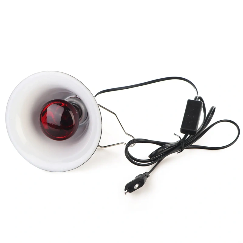 3712-komodo-clamp-lamp-komple-7.jpg.webp 3712-komodo-clamp-lamp-komple-7.jpg.webp