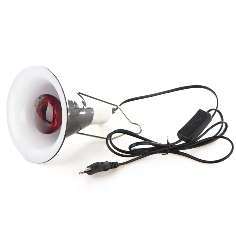 3712-komodo-clamp-lamp-komple-8.jpg.webp 3712-komodo-clamp-lamp-komple-8.jpg.webp