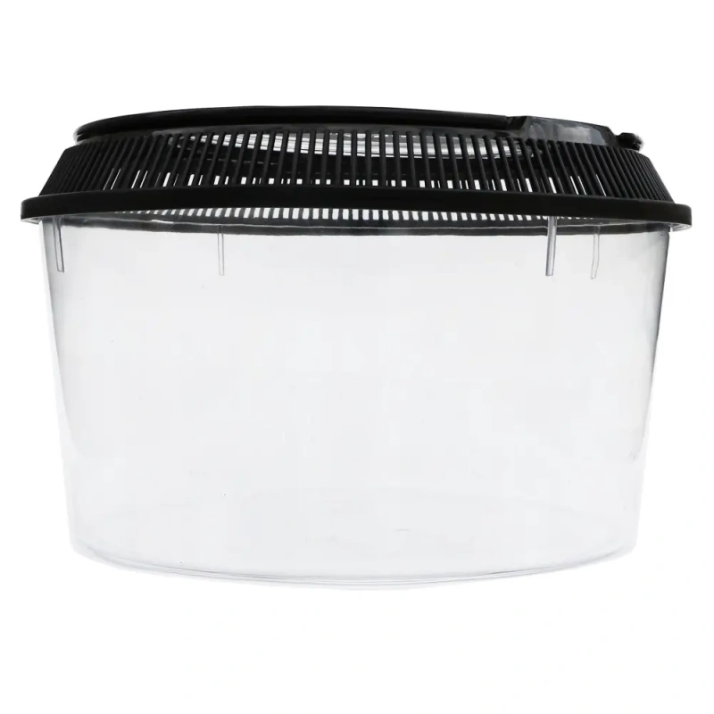 3860-terrario-transportbox-fa-1.jpg.webp