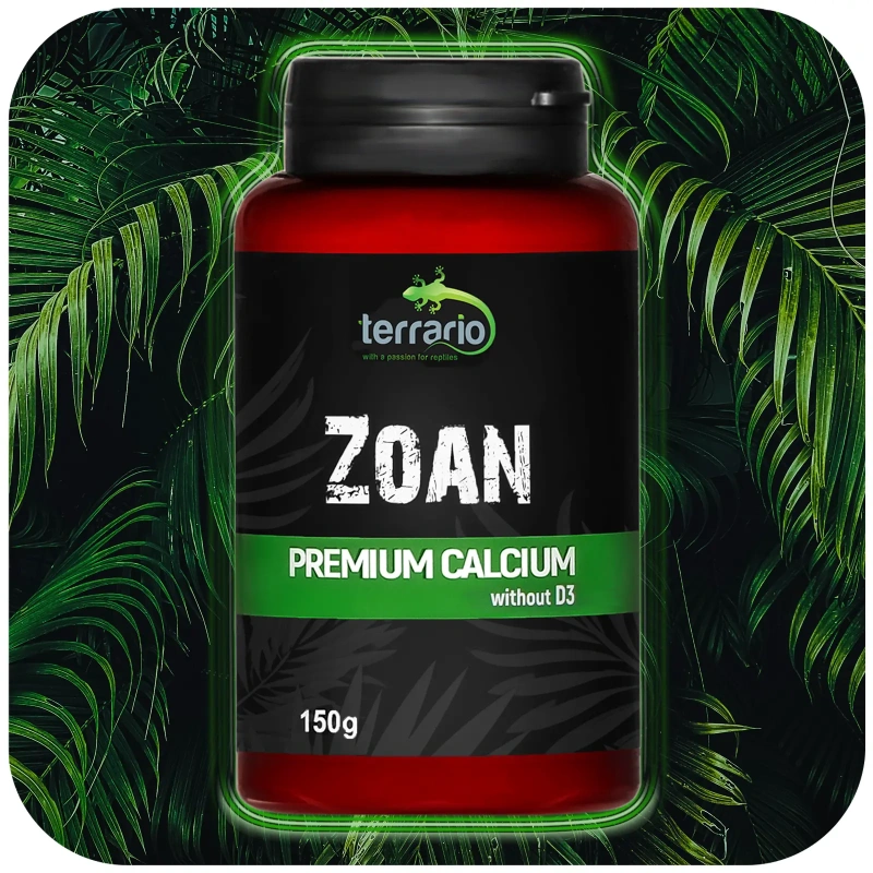 3879-terrario-bozza-calcium-w-30.jpg.webp