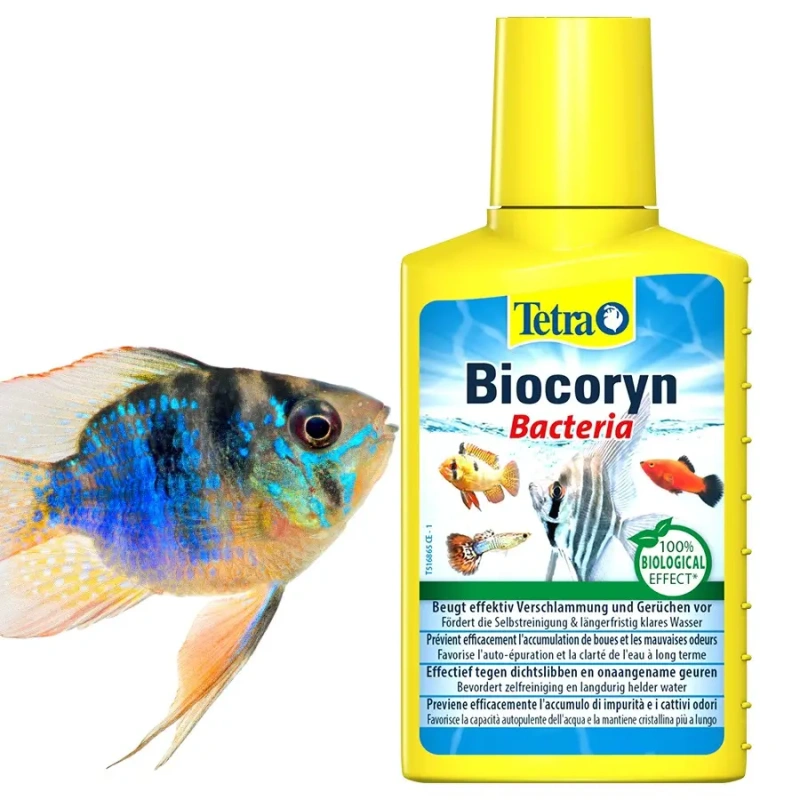 3891-tetra-biocoryn-srodek-do-zwalczania-szkodliwych-substancji-w-wodzie-100ml-1.jpg.webp 3891-tetra-biocoryn-srodek-do-zwalczania-szkodliwych-substancji-w-wodzie-100ml-1.jpg.webp