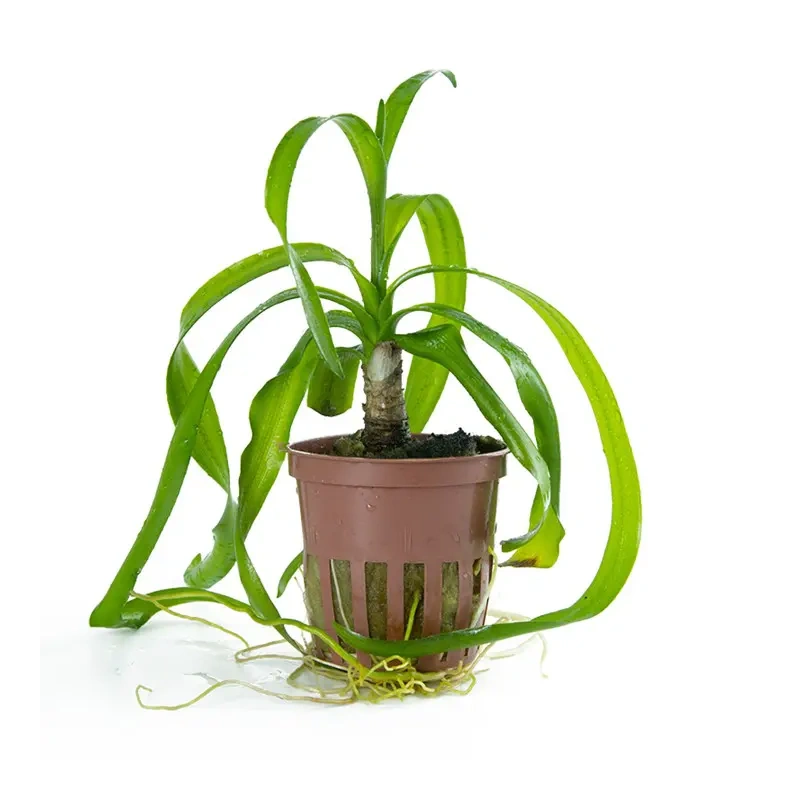 4025-2-2-196.jpg.webp