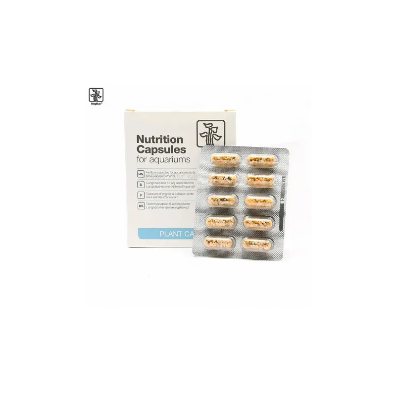 4038-nutrition-capsules.jpg.webp 4038-nutrition-capsules.jpg.webp