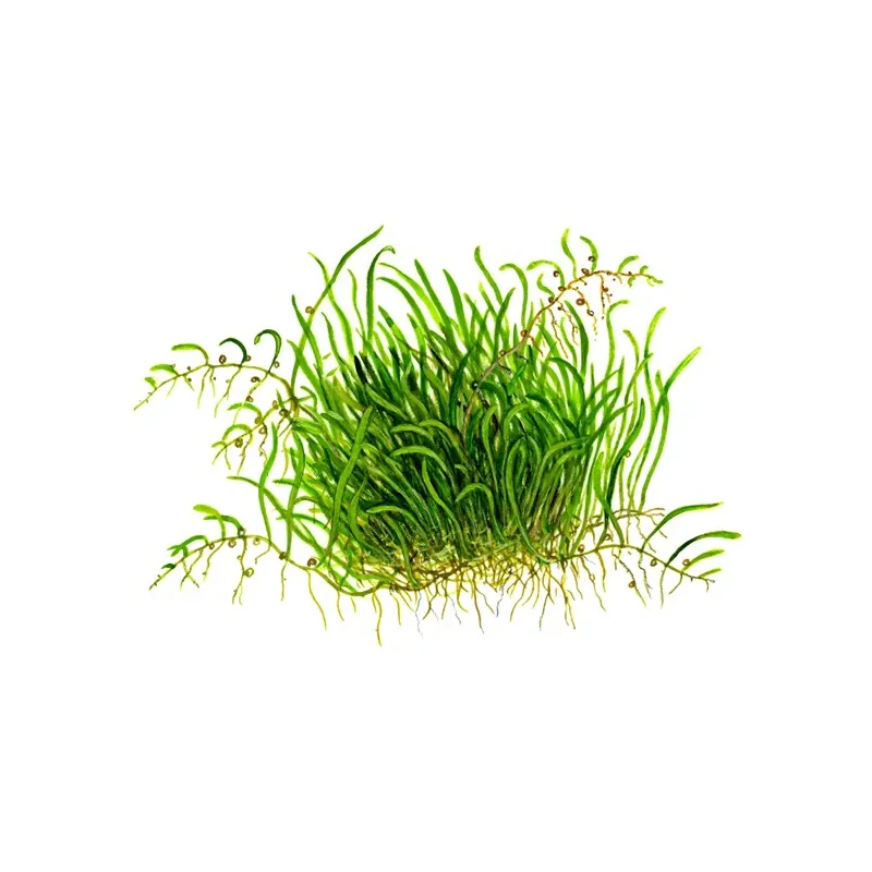 4067-1-27-14.jpg.webp