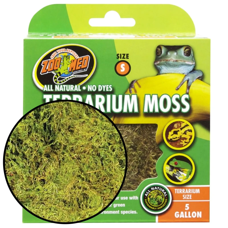 4122-zoomed-terrarium-moss-16-1.jpg.webp 4122-zoomed-terrarium-moss-16-1.jpg.webp