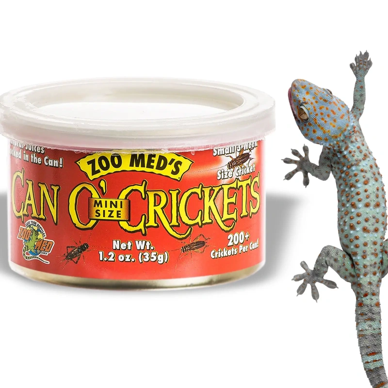 4138-zoomed-can-o-crickets-po-7.jpg.webp