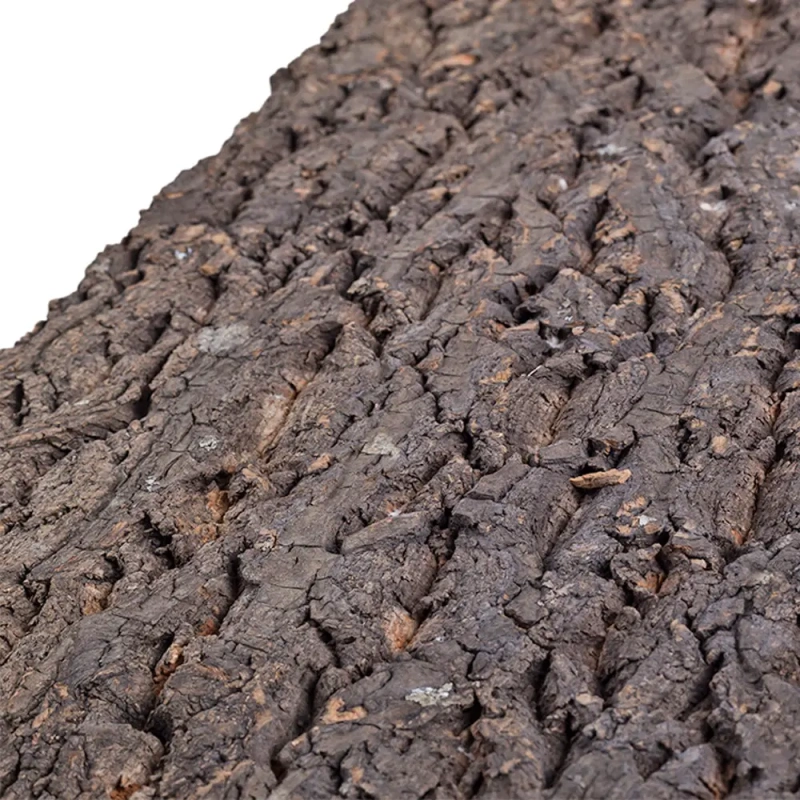 4347-repti-zoo-big-tree-backg-42.jpg.webp 4347-repti-zoo-big-tree-backg-42.jpg.webp