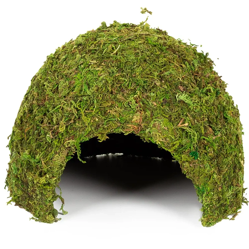 4510-repti-zoo-natural-mossy-66.jpg.webp 4510-repti-zoo-natural-mossy-66.jpg.webp