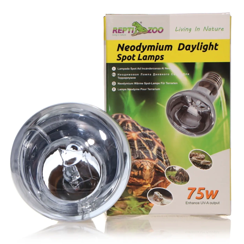 4541-repti-zoo-neodymium-dayl-35.jpg.webp