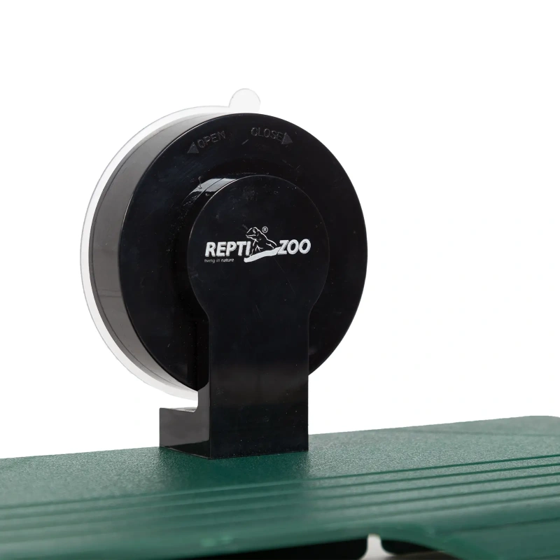 4642-repti-zoo-rampa-wyspa-dl-46.jpg.webp