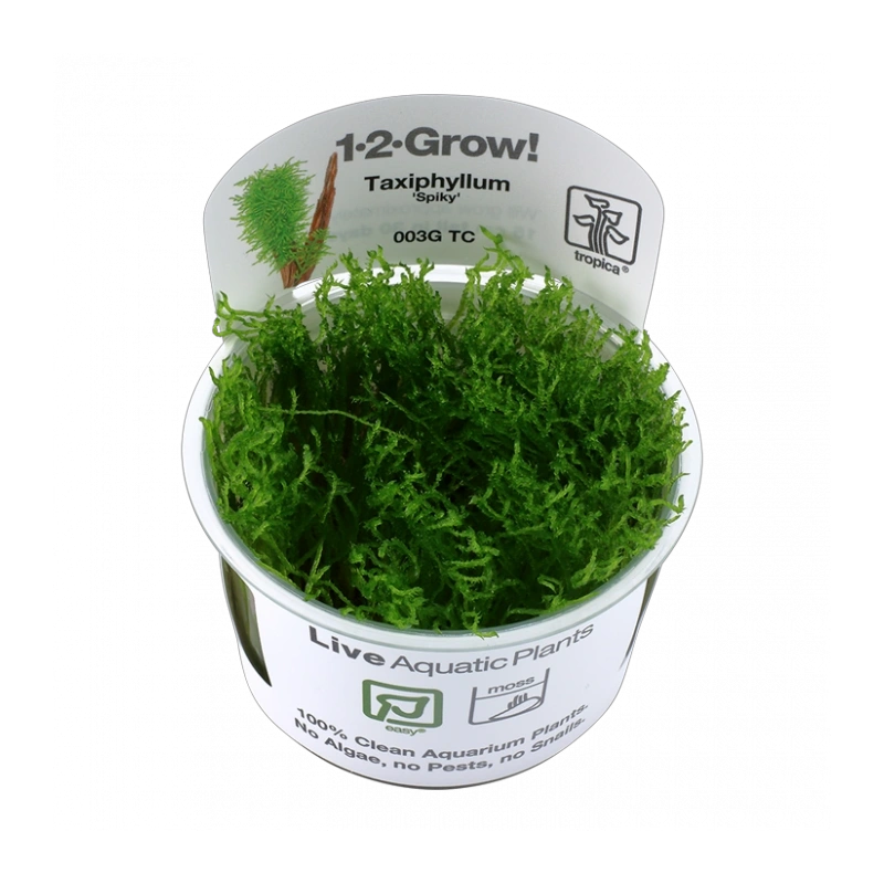 5009-003g-tc-1-2.png.webp