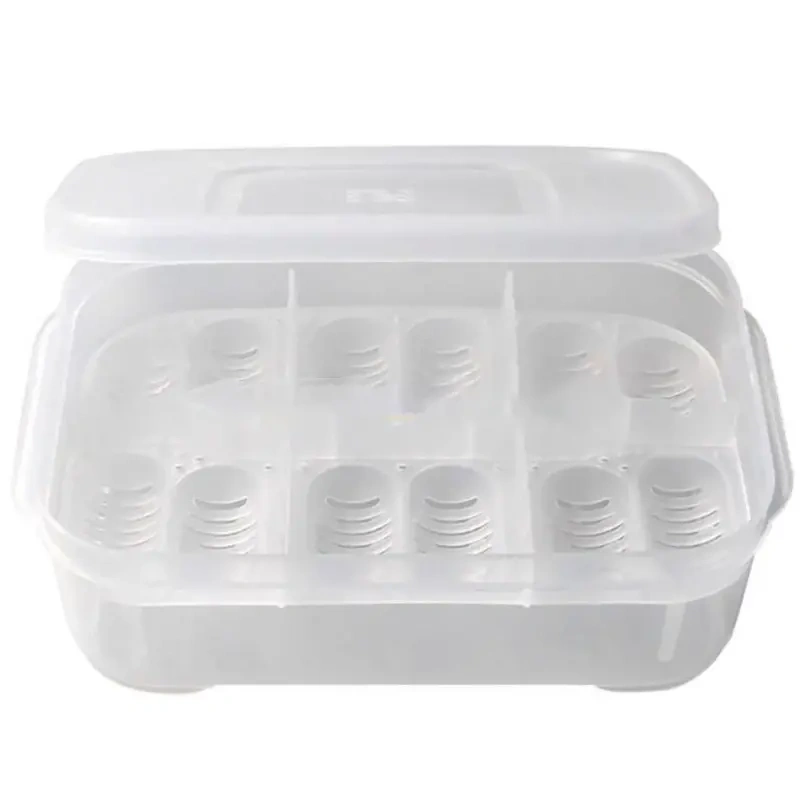 5044-terrario-eggincubator-in.jpg.webp