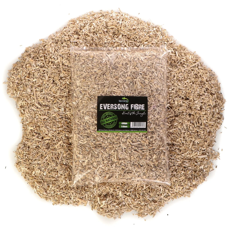 5047-terrario-eversong-fibre-7.jpg.webp