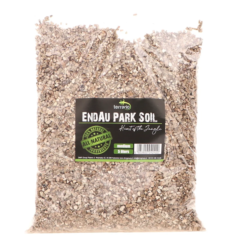 5058-terrario-endau-park-soil-7.jpg.webp 5058-terrario-endau-park-soil-7.jpg.webp