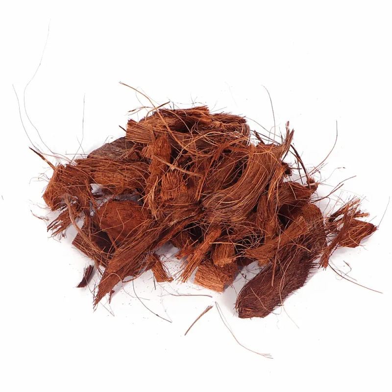 5098-terrario-negro-rainfores-6.jpg.webp 5098-terrario-negro-rainfores-6.jpg.webp