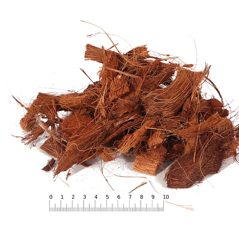 5098-terrario-negro-rainfores-7.jpg.webp 5098-terrario-negro-rainfores-7.jpg.webp