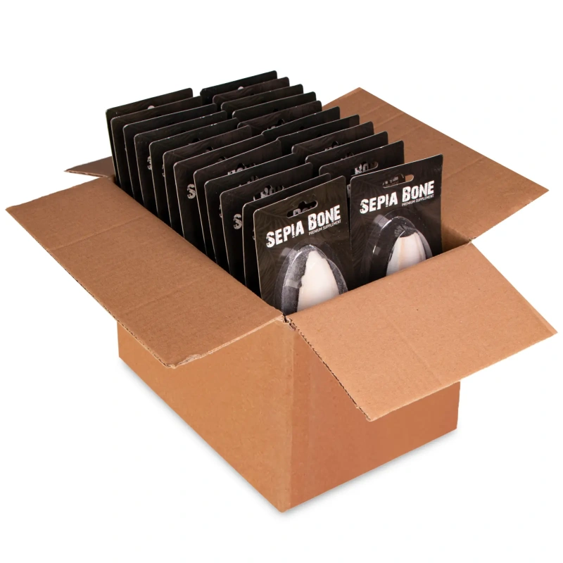 5116-terrario-sepia-bone-sepi-1.jpg.webp 5116-terrario-sepia-bone-sepi-1.jpg.webp