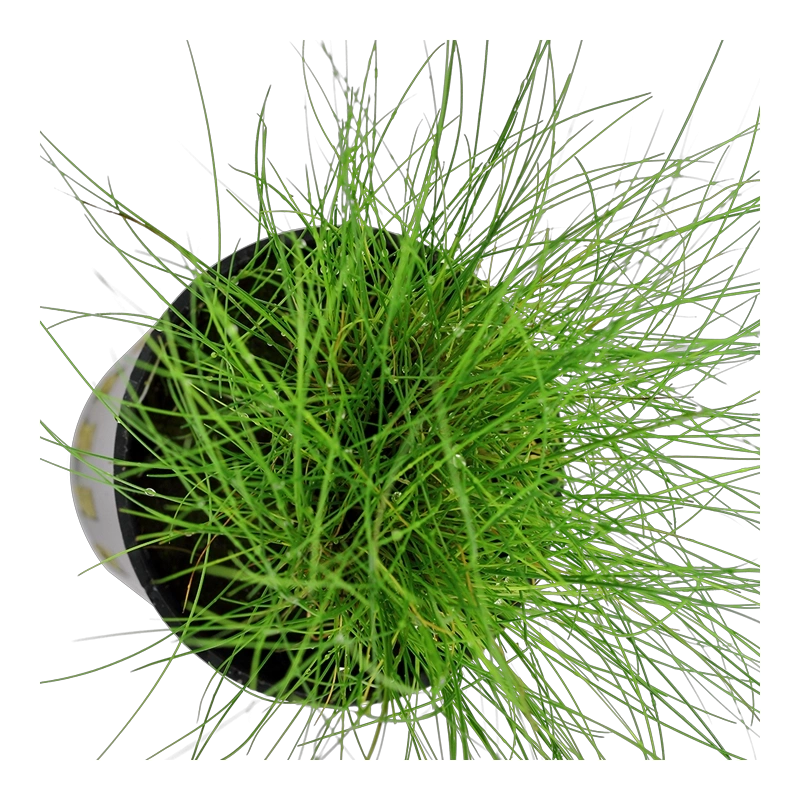5138-3-1-85.png.webp 5138-3-1-85.png.webp