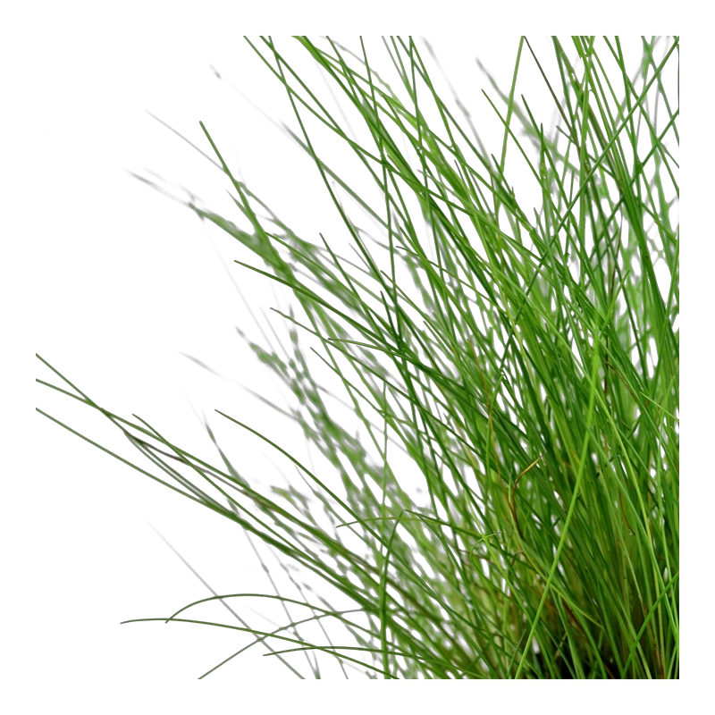 5138-4-1-70.png.webp 5138-4-1-70.png.webp