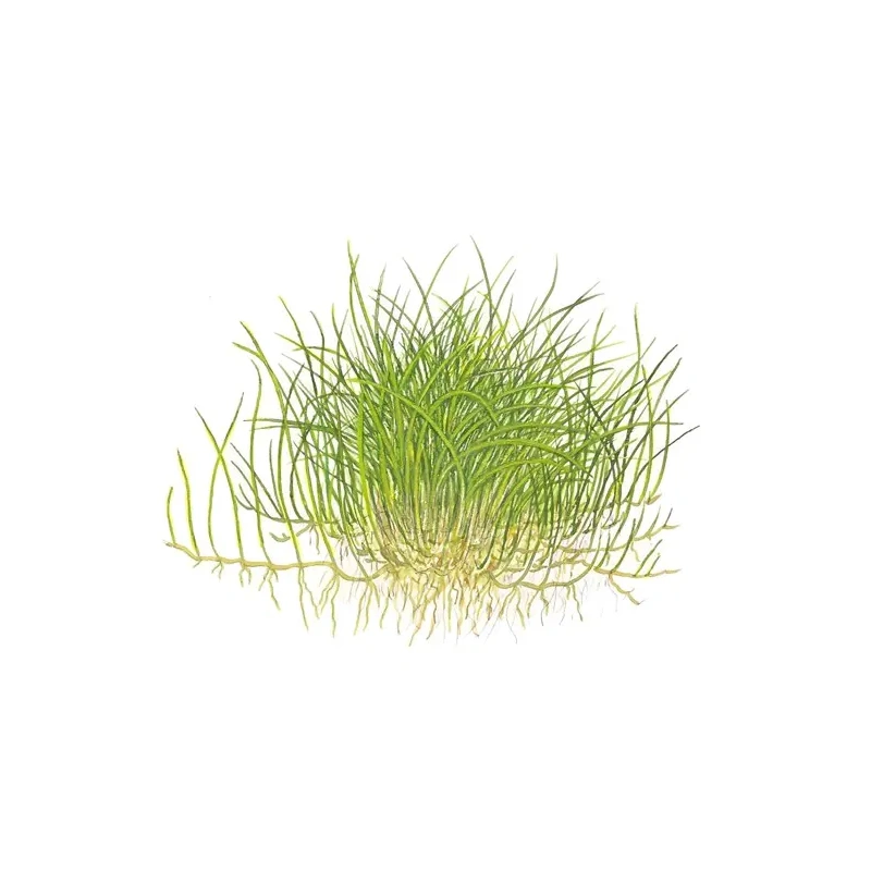 5140-1-7-384.jpg.webp 5140-1-7-384.jpg.webp