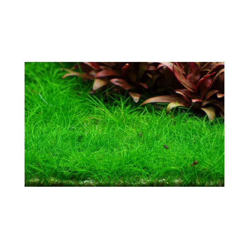 5140-3-7-481.jpg.webp 5140-3-7-481.jpg.webp