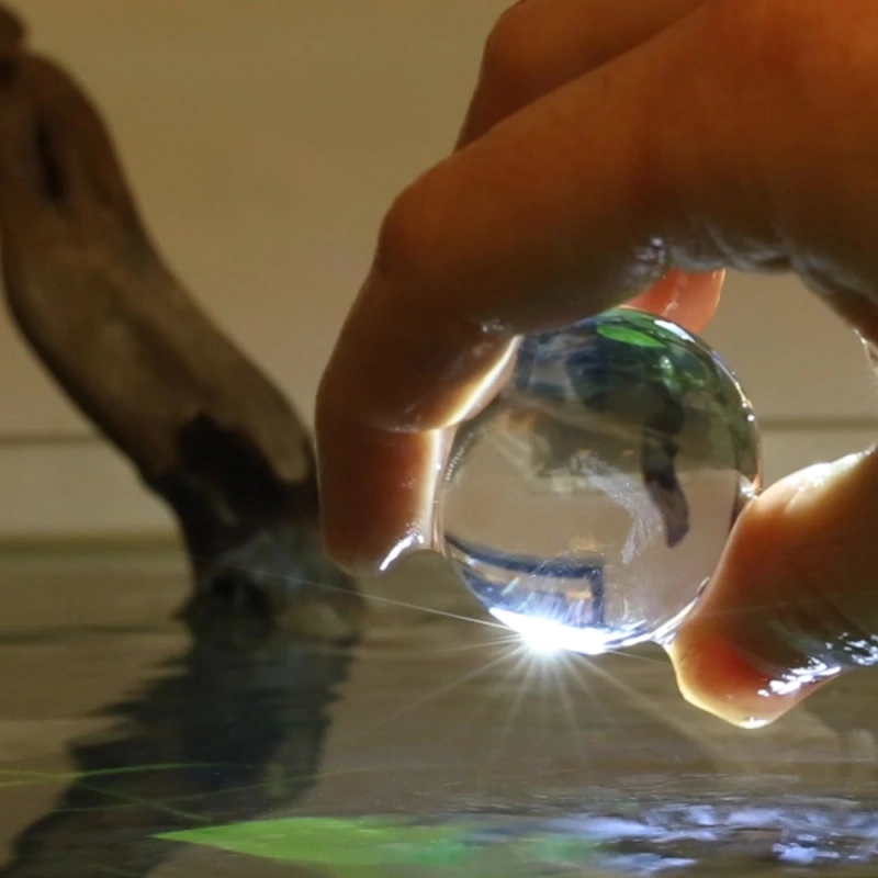 5146-25010099114-10981-62866df8195b46-25196398-25010099114-4-png-4-2.png.webp 5146-25010099114-10981-62866df8195b46-25196398-25010099114-4-png-4-2.png.webp