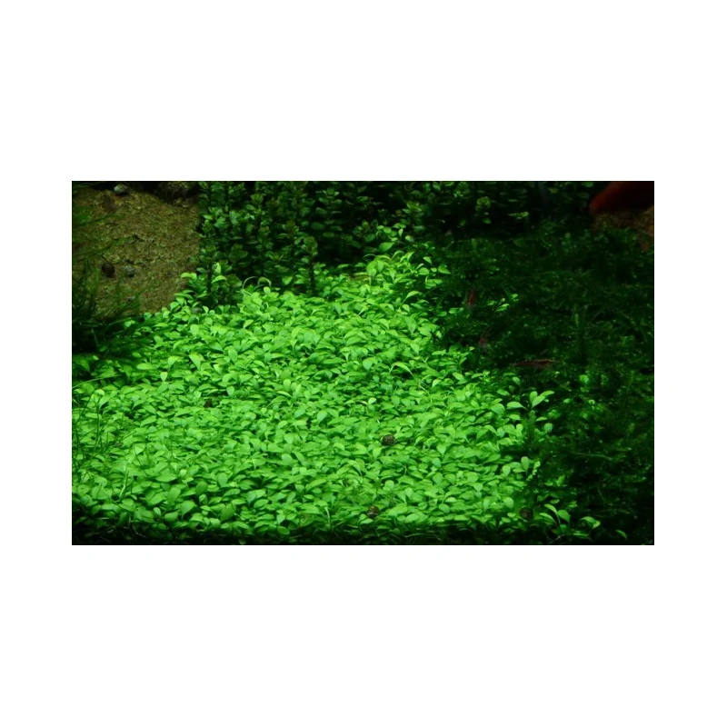 5214-3-9-23.jpg.webp 5214-3-9-23.jpg.webp