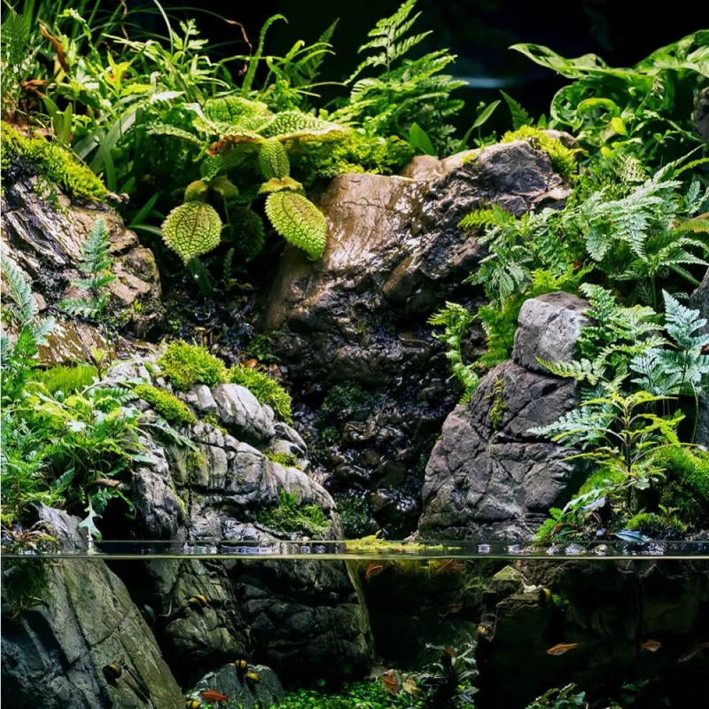 5224-frodo-4.jpg.webp 5224-frodo-4.jpg.webp