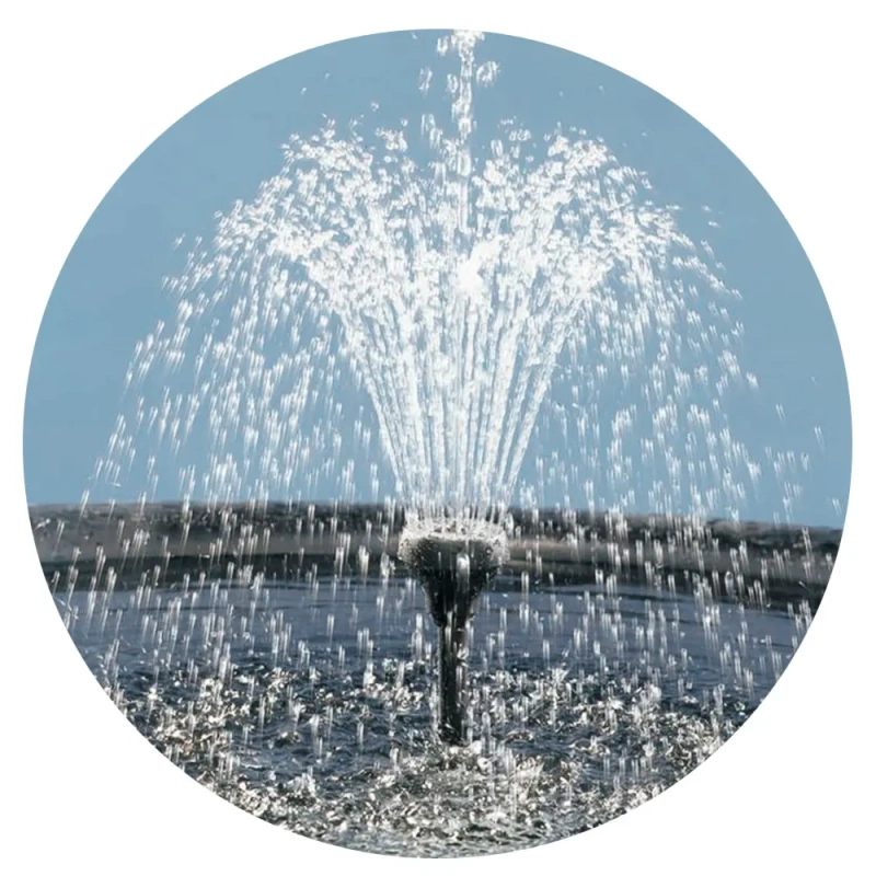 5293-hsbao-fhsb-2000-pompa-fo-3.jpg.webp 5293-hsbao-fhsb-2000-pompa-fo-3.jpg.webp