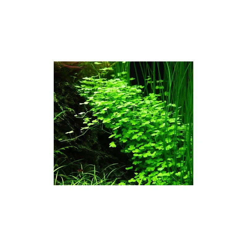 5300-3-89310.jpg.webp 5300-3-89310.jpg.webp