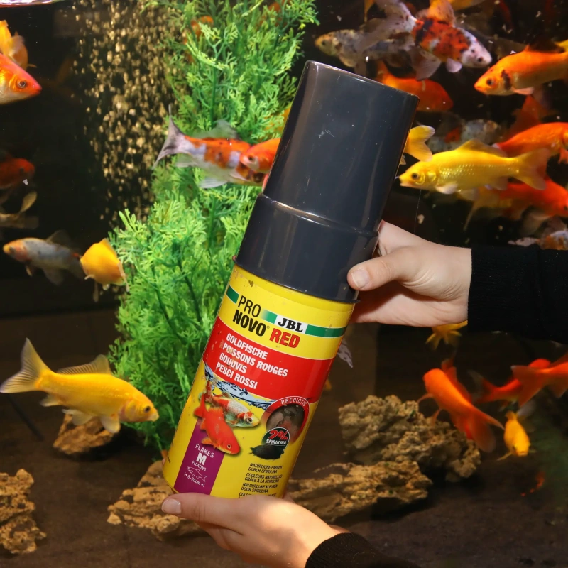 5375-100080-2.jpg.webp 5375-100080-2.jpg.webp