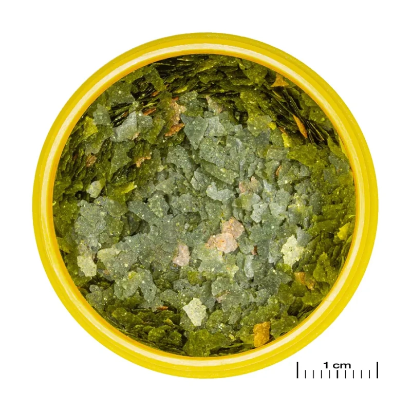 5456-jbl-pronovo-bel-flakes-m-1000ml-podstawowy-pokarm-dla-ryb-6.jpg.webp 5456-jbl-pronovo-bel-flakes-m-1000ml-podstawowy-pokarm-dla-ryb-6.jpg.webp