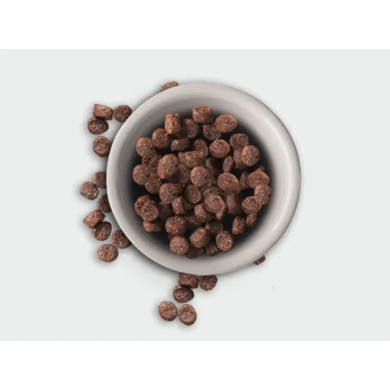 5601-leonardo-adult-grain-fre-1.jpg.webp