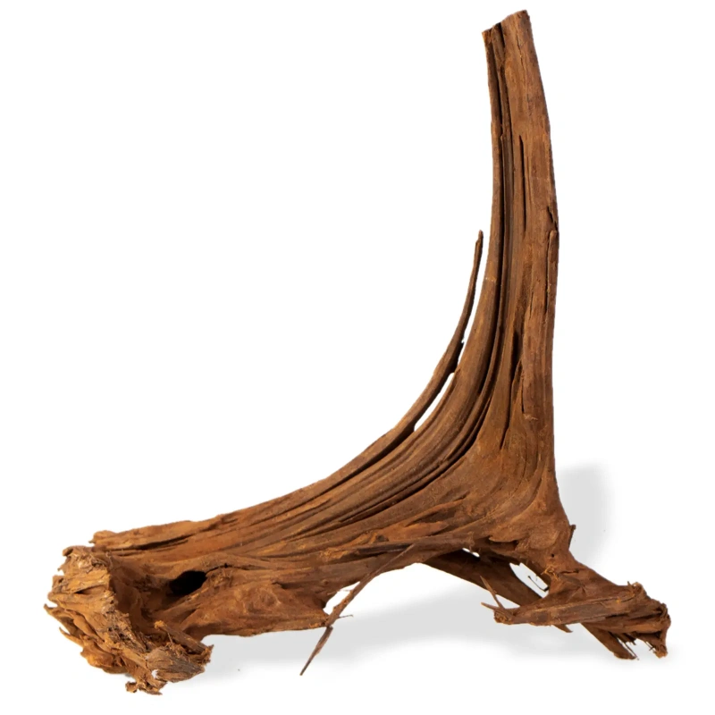 5679-mangrove-root-indonesian-korzen-na-sztuki-m-1.jpg.webp 5679-mangrove-root-indonesian-korzen-na-sztuki-m-1.jpg.webp