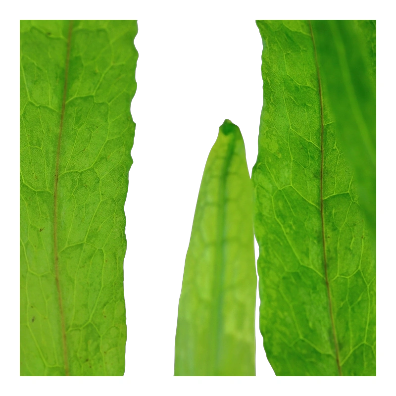 5684-4-1-73.png.webp