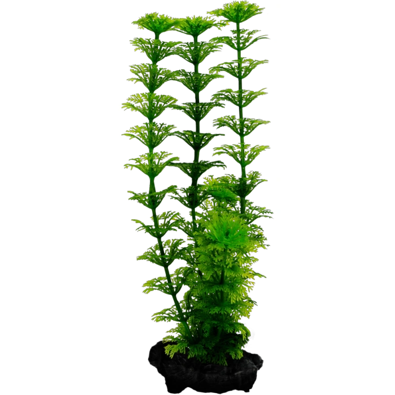 6100-csm-tr30044-9631-ambulia-s-50cd79f463-2.png.webp 6100-csm-tr30044-9631-ambulia-s-50cd79f463-2.png.webp