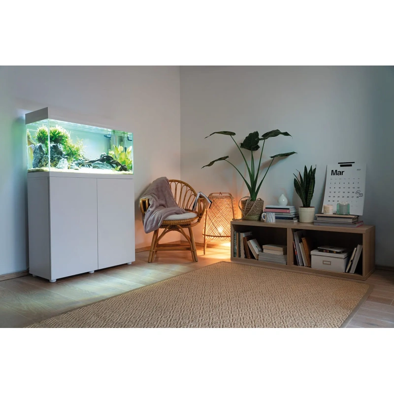 6120-123415-opti-set-125-white-16-interior-933.jpg.webp 6120-123415-opti-set-125-white-16-interior-933.jpg.webp