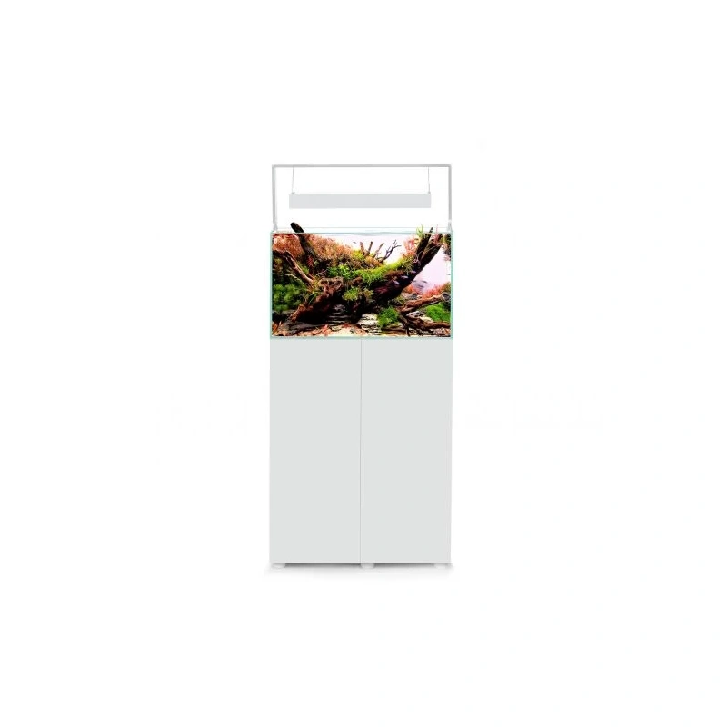 6138-snow60x555x498x-3.webp.webp 6138-snow60x555x498x-3.webp.webp